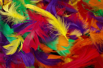 coloured feathers backgound