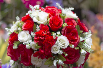 Red roses for love for Valentine's Day.