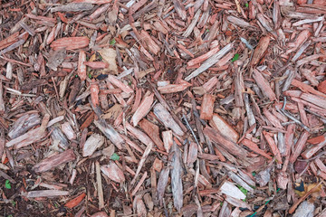Bark wood chips background