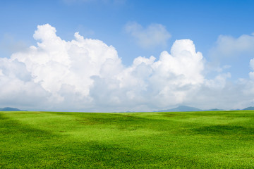 grass field background