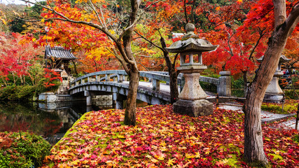 Autumn foliage at Eikando temple, Kyoto