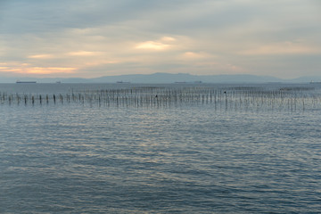 Obraz premium Fish farm
