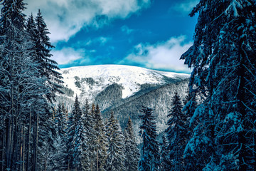 Fototapeta premium Carpathian mountains nature vacation mountain