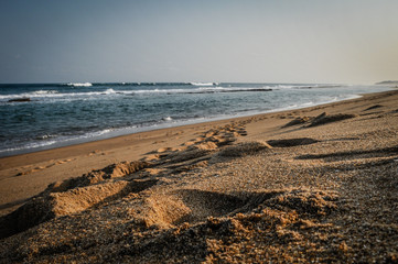 mozambico seaside in sunset