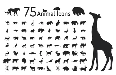 Set of 75 Animal icons © Olah