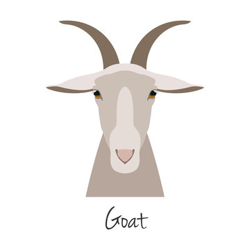 Vector goat head isolated. Flat, cartoon style object