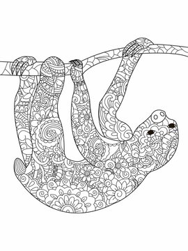 Sloth on a branch Coloring book vector for adults