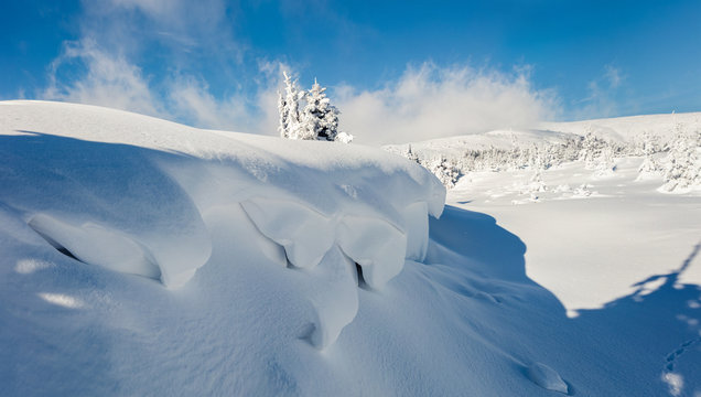 Fototapeta Sunny morning scene in the mountain forest