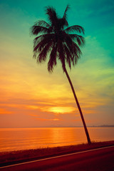 Silhouette coconut palm trees on beach at sunset. Vintage tone.