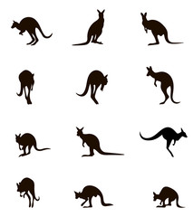 Silhouettes Australian kangaroo.