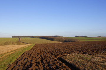 Fototapeta na wymiar patchwork farmland in winter
