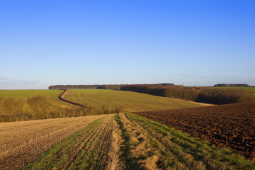 Fototapeta na wymiar winter farming landscape