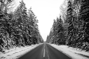 Road across snow forest