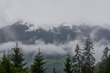 nebel im gebirge