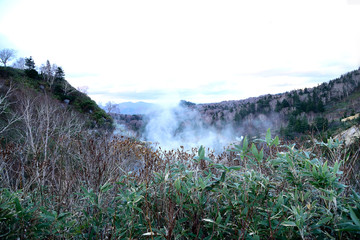 Hot spring vapour