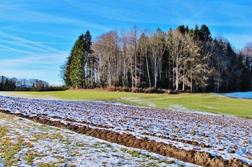 Winterlich: Wald und Flur