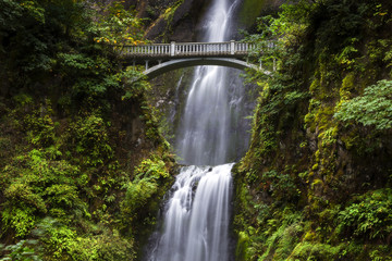 Fototapeta premium Multnomah Falls w Columbia River Gorge, Oregon