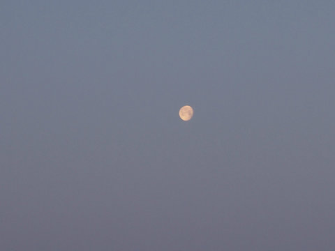 Луна в вечернем небе 