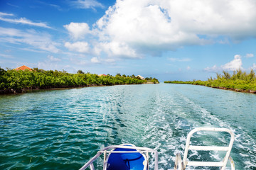 Speeding through the channelBoat heads back to the dock from the ocean via a channel between the mangroves