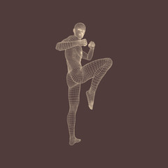 Kickbox Fighter Preparing to Execute a High Kick.