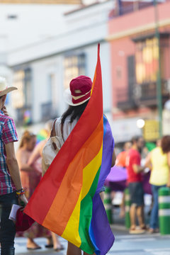 Rear view of person holding gay pride flag