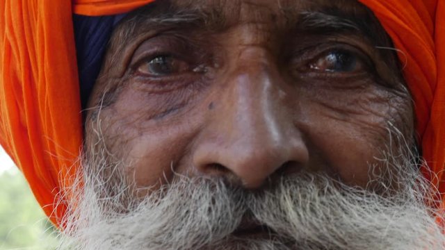 Close-up of Sikh Man, Punjab, India