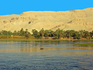 Egypte, rives du Nil