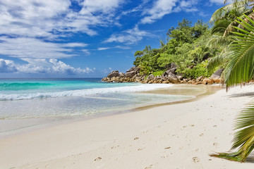Tropical island beach and palm trees