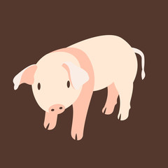 pig vector illustration style Flat