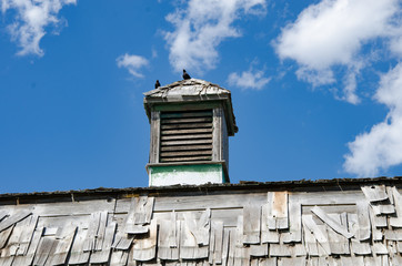 cupolas on a old barn roof