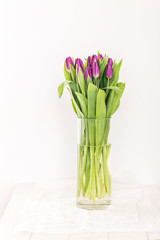 Bouquet of Beautiful flowers tulips for catalog on white background