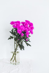 Bouquet of Beautiful flowers chrysanthemum for catalog on white background