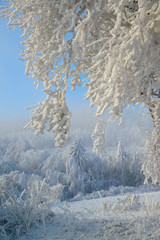 Wintersonne im Raureifzauberland