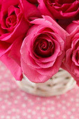 pink roses