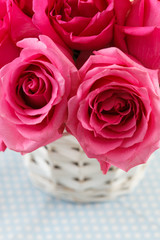 pink roses
