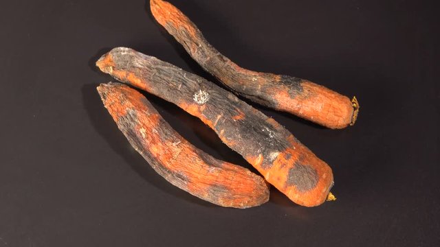 Spoiled rotten carrots rotates on a black background