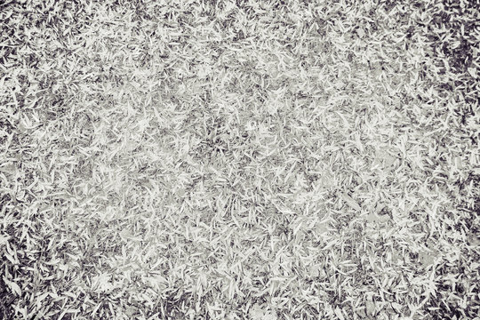 Fondo o Textura vegetal de hojas oto&ntilde;ales caidas  con tratamiento fotografico en blanco y negr
