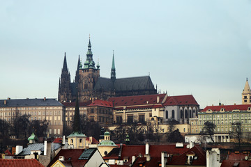 Fototapeta premium Czech Republic. Prague. Panorama of the city with views of the Cathedral of St. Vitus
