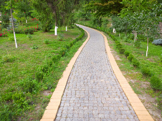 Road in the park.