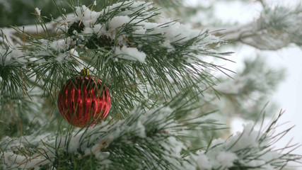 Red Christmas decorations with pine branches with copy space