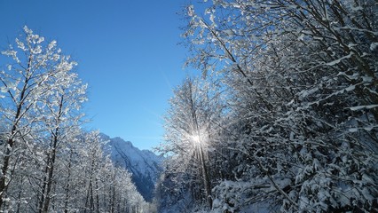 Winter in den Bergen