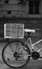 Demi Bike