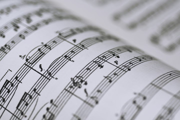 Naklejka premium Abstract view of music.