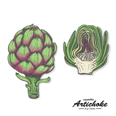 Colored artichoke in sketch style