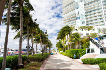 miami palms and hotel building