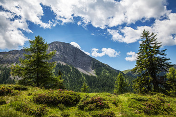 Obraz premium Staff beim Weissensee in Kärnten
