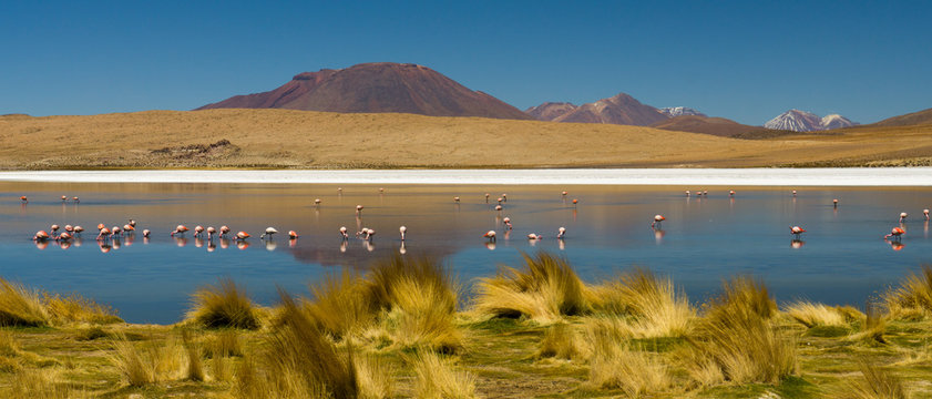 Salt Flats, Bolivia