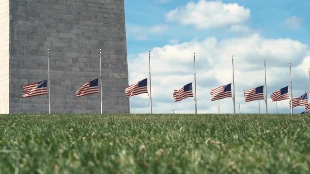 American flags blowing in the wind at the base of the Washington Monument