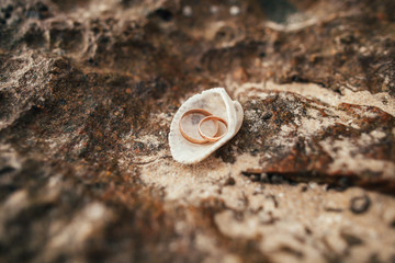 Fototapeta na wymiar wedding rings on beach