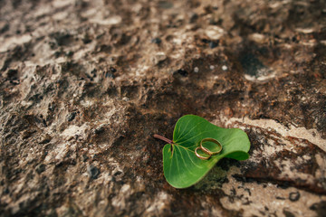 wedding rings on beach